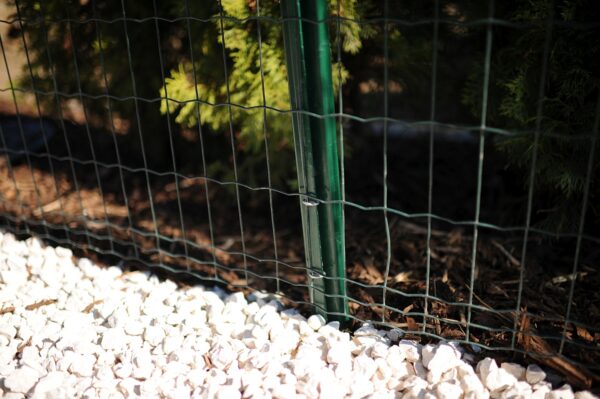 Welded mesh 100x50x2